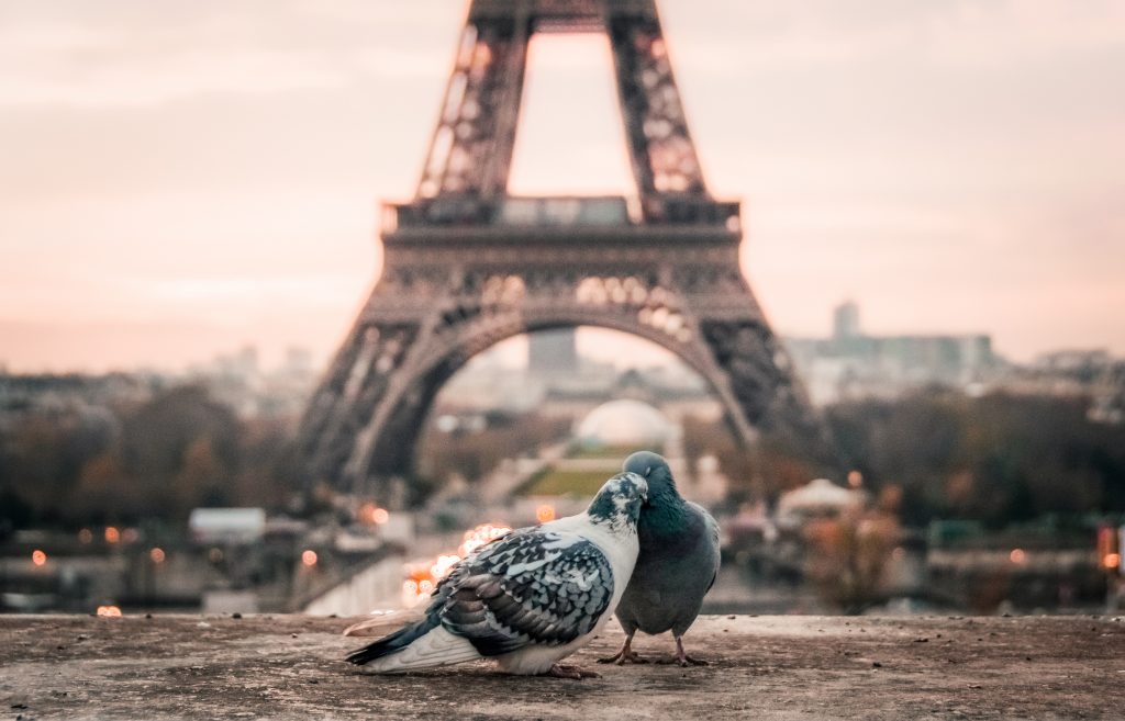 Eiffeltårnet i Paris